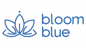 Bloom Blue – Consultoría empresarial orientada a resultados
